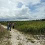 Langkah besar menuju ketahanan pangan di Kota Dumai semakin nyata.