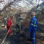 Lahan Gambut Sungai Sembilan dapat di atasi Dari Kebakaran.